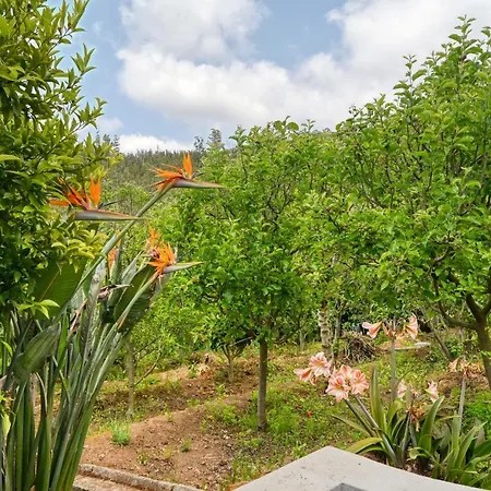 Σαλέ Da Nogueira, A In Madeira Ponta do Sol (Madeira)