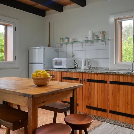 Da Nogueira, A In Madeira Σαλέ Ponta do Sol (Madeira)