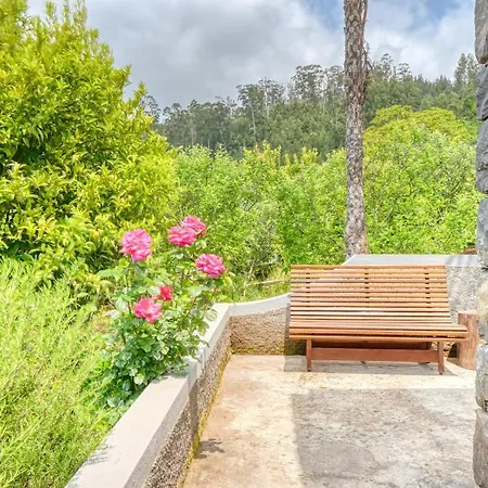 Da Nogueira, A In Madeira Σαλέ