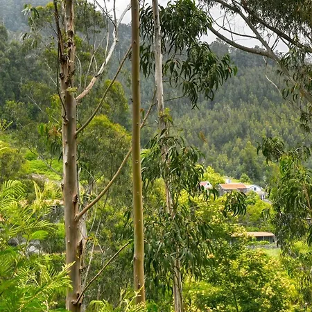 Da Nogueira, A In Madeira