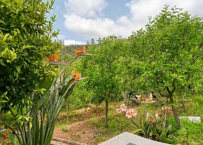 Chalet Da Nogueira, A In Madeira Ponta do Sol (Madeira)