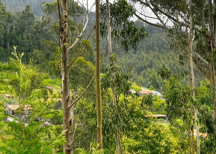 Da Nogueira, A In Madeira